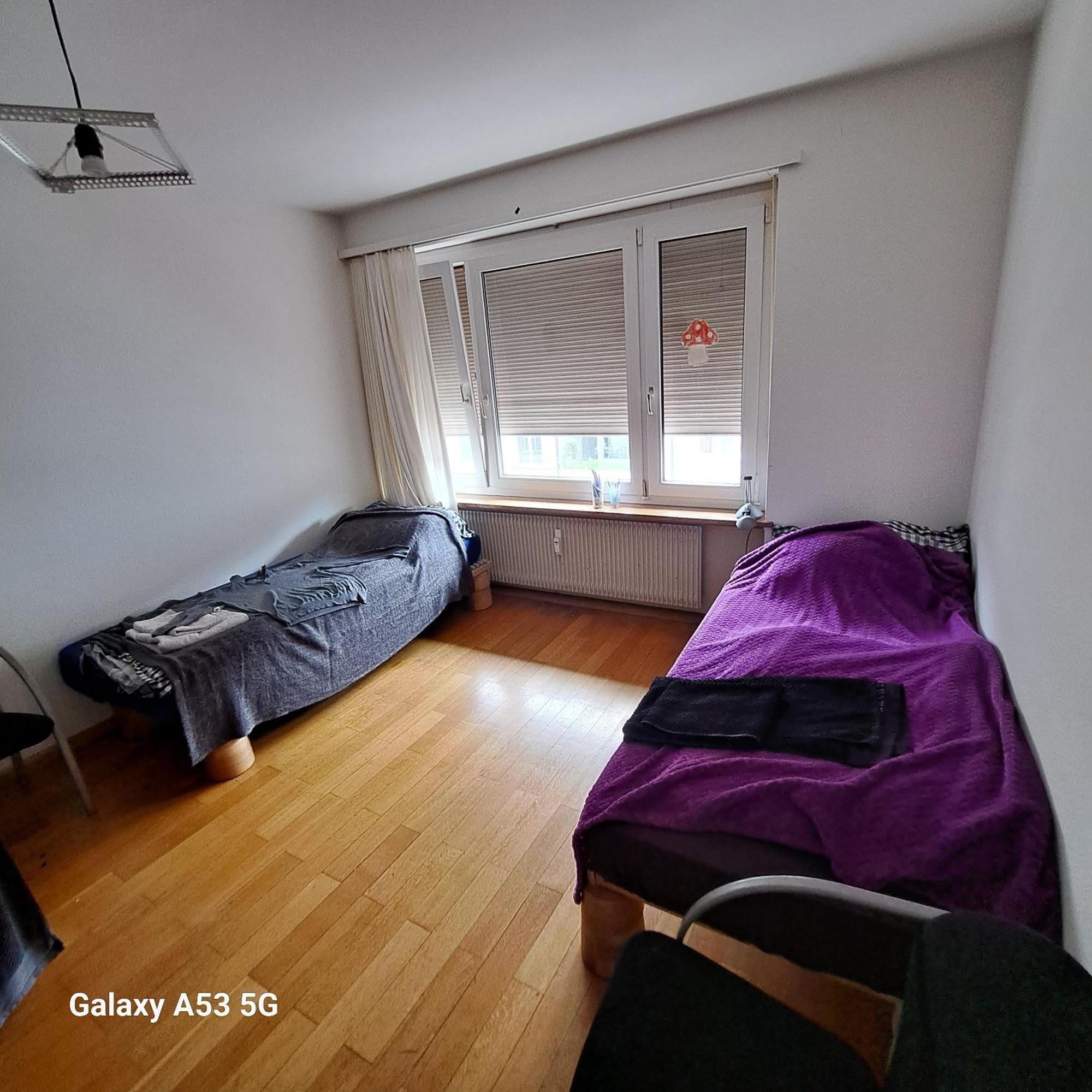 Premium Confort Homestay *
